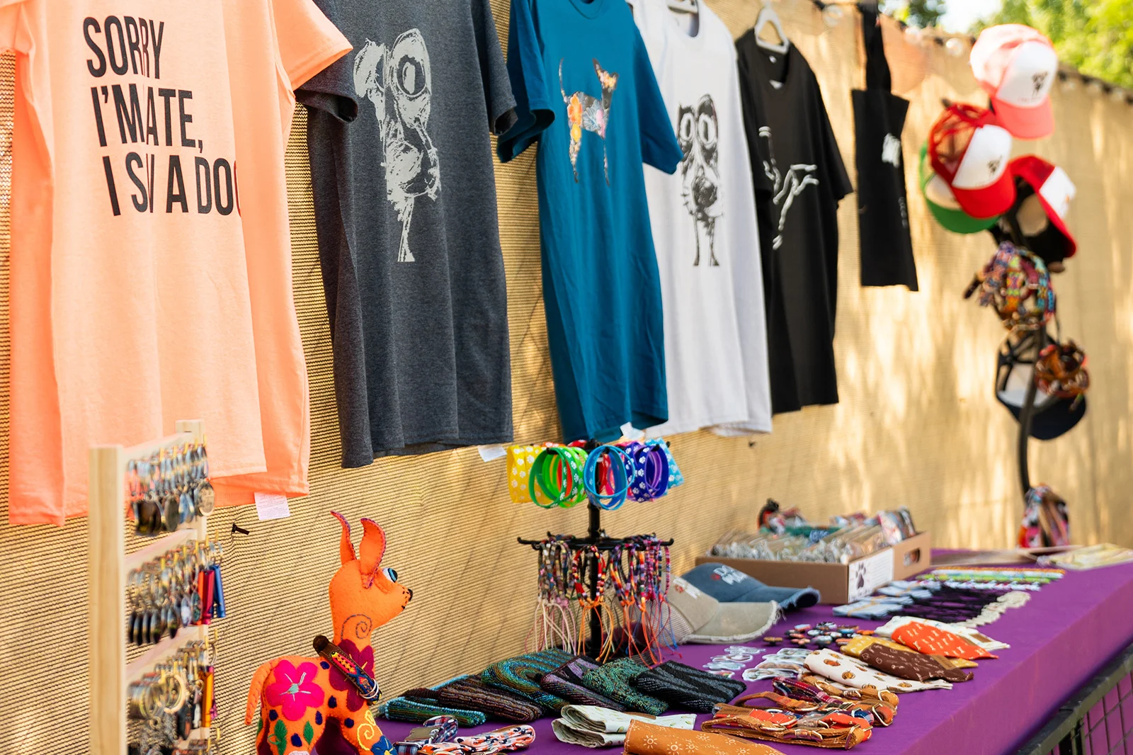 A Dog’s New Life Experience Emotions Resort & Suites