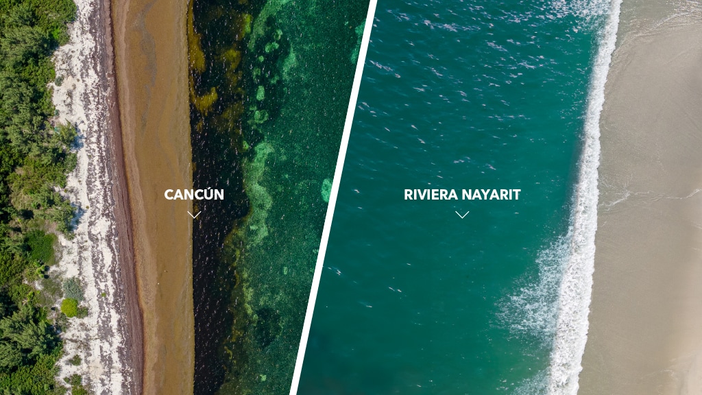 Riviera Nayarit vs Cancún: Which Is the Best Destination for Your Next Vacation?